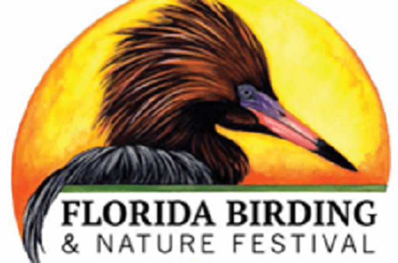 Florida Birding & Nature Festival scheduled