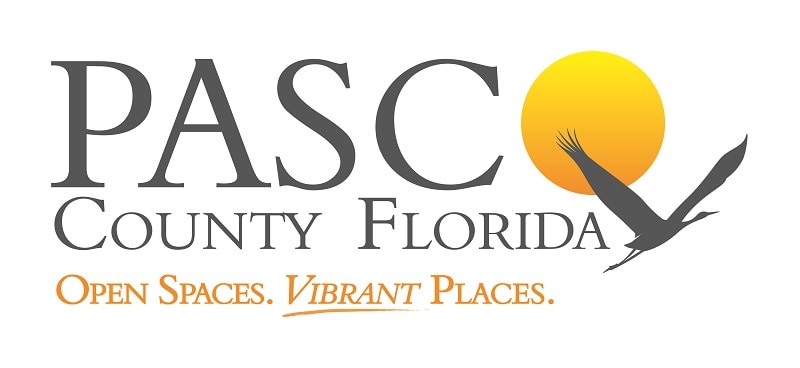 Pasco County Fl homes for sale