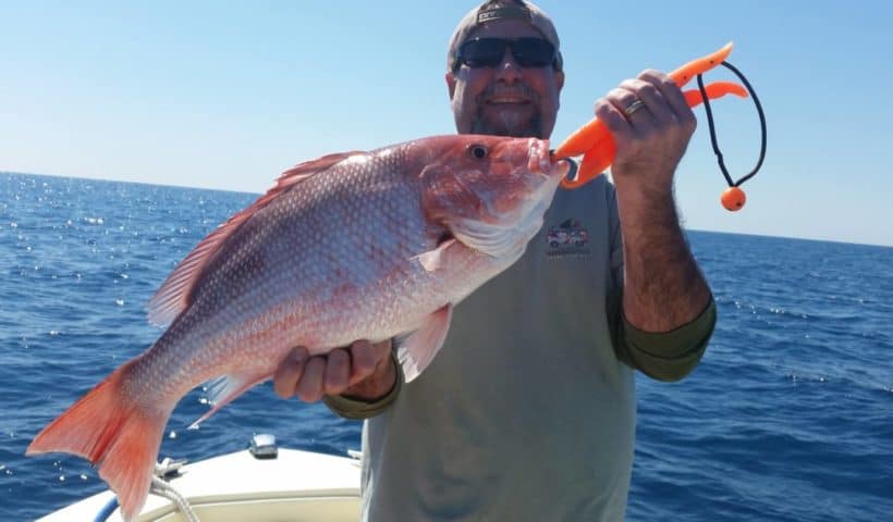 Red Snapper 1080x675 1