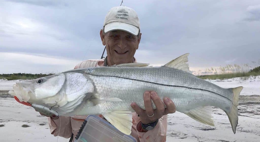 Beach snook June Fort Desoto Park