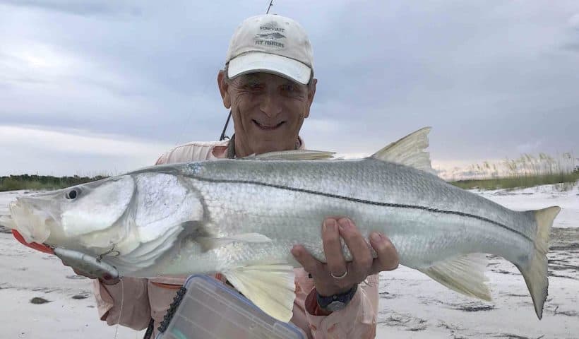 Beach snook June Fort Desoto Park