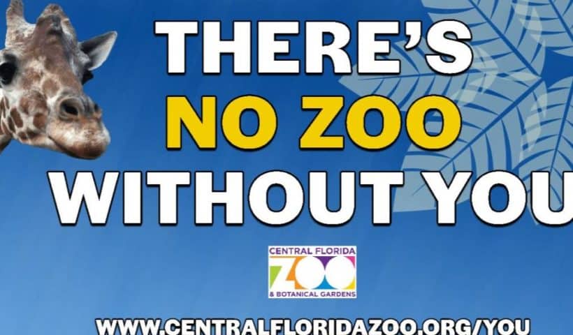 central florida zoo and botanical gardens the free press tampa promotion featured