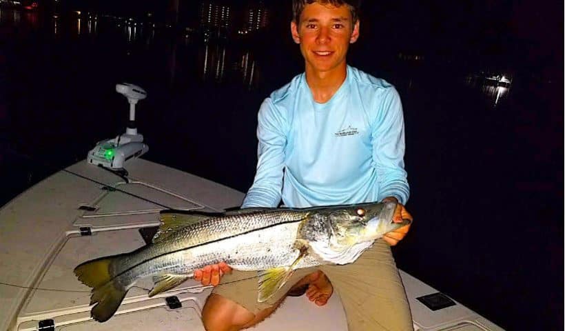 Adam Hays Docklight snook