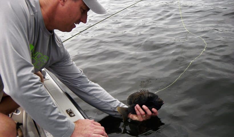 Chris OByrne lands a Lake McLeod bluegill