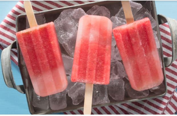 florida watermelon pops