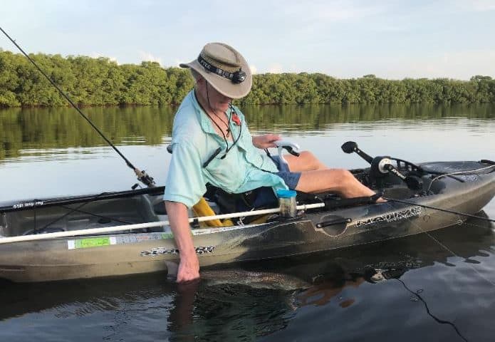 Redfish revival in St. Petes Weedon Island Preserve