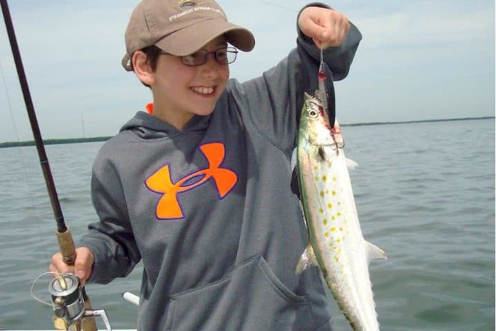 Spanish mackerel are blowing up on topwaters