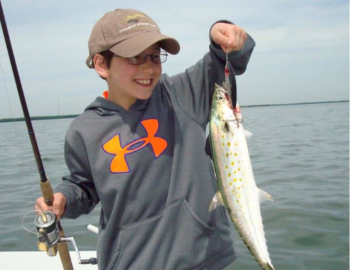 Spanish mackerel are blowing up on topwaters