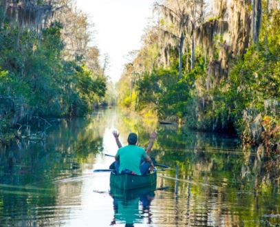 florida nature