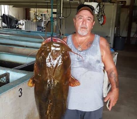 Record Florida Catfish Lavon Nowling