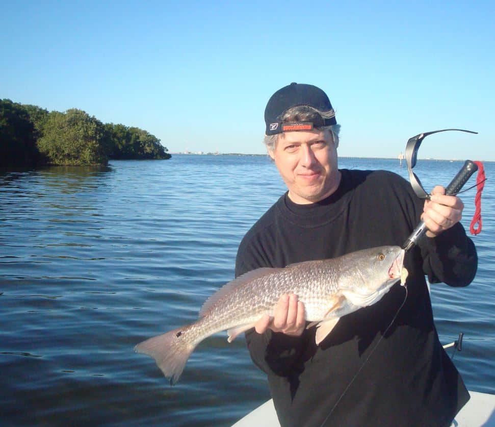 Redfish Caught in Weedon Island Florida