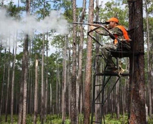 Florida Deer Hunting FWC Logging Deer