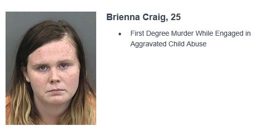 brienna craig tampa murder