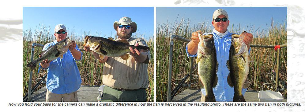 How you hold your bass for the camera can make a dramatic difference in how the fish is perceived in the resulting photo. These are the same two fish in both pictures.
