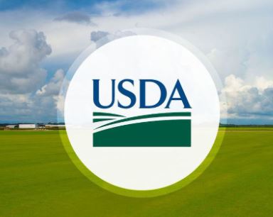 usda logo covid-19 relief