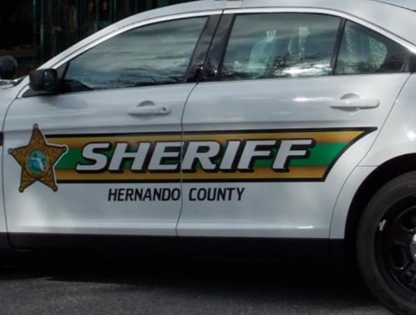 hernando county sheriff