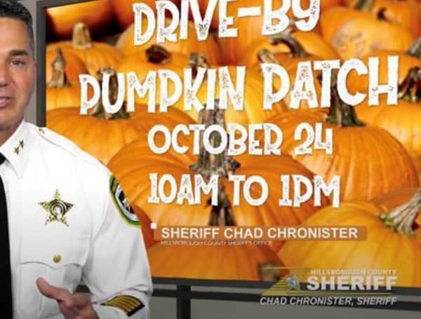 hillsborough sheriff pumpkin patch