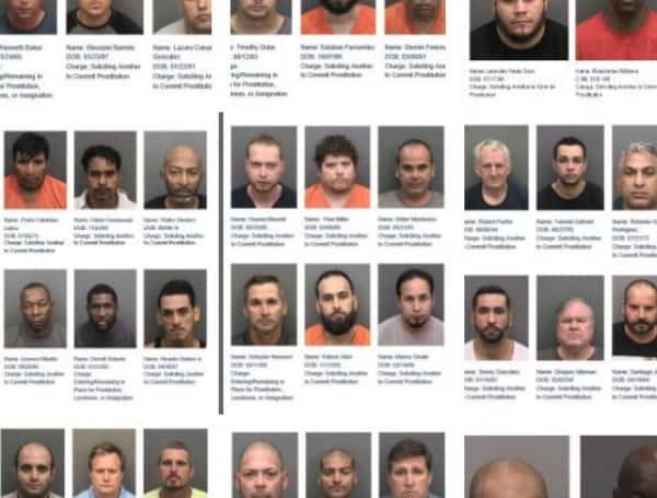 49 arrested in hillsborugh sex sting