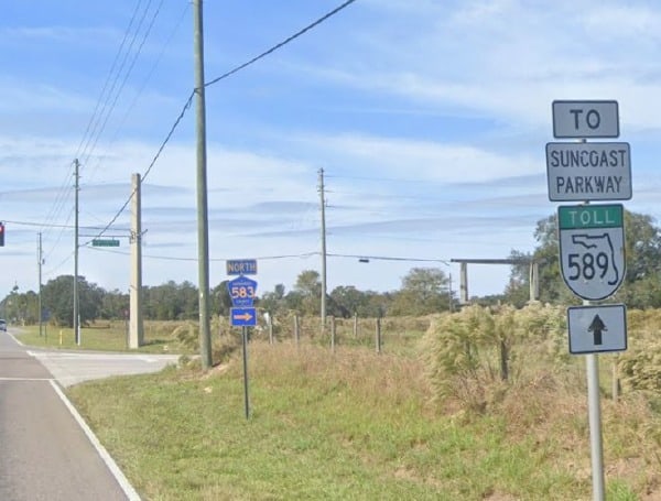 deadly pedestrian accident spring hill florida