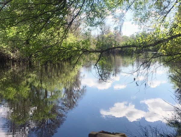 hillsborough river man