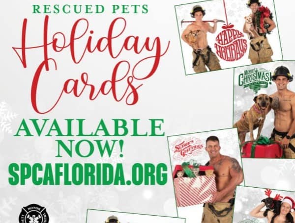 lakeland rescued pets firefighters