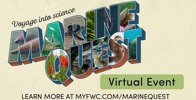 marine quest fwc