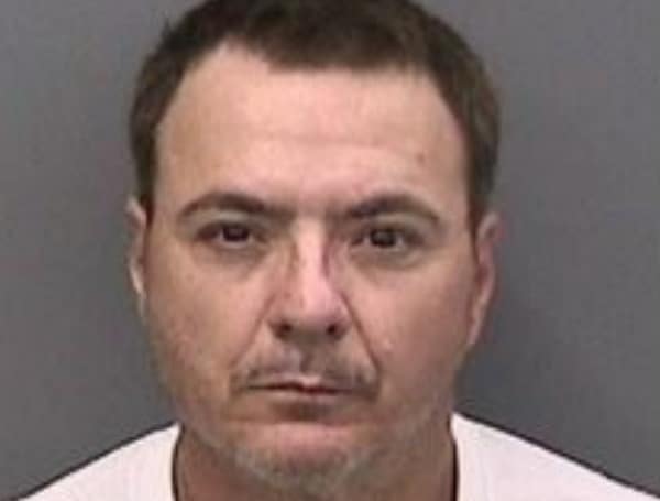 ruskin man charged in child porn