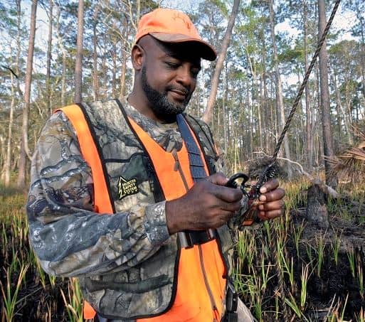 florida treestand safety hunting
