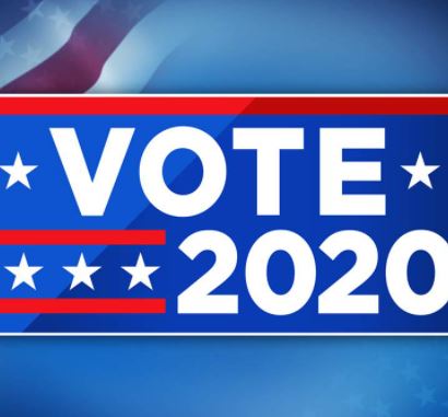 vote 2020 general election