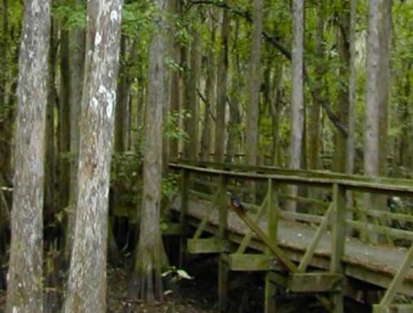 Florida Forest Service Lakeland