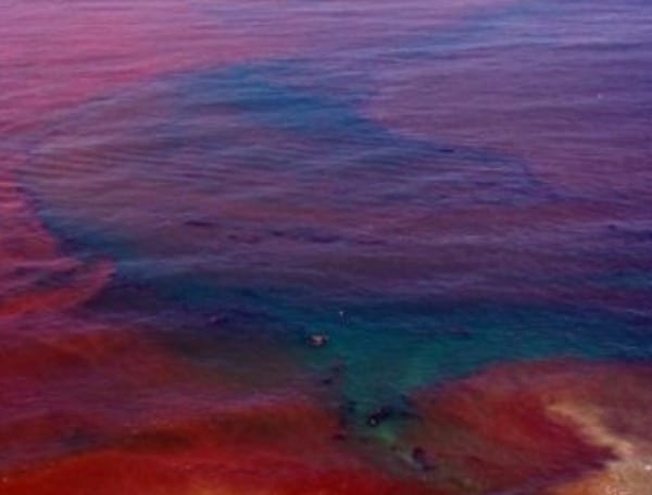 red tide status update Florida