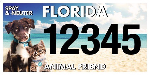 Pasco County Animal Services (PCAS) is proud to share that it has been awarded a $25,000 grant from Florida Animal Friend