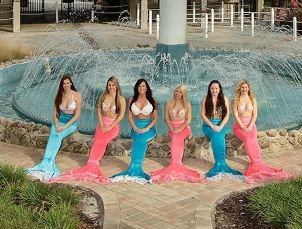 weeki wachi mermaids