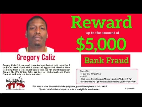 caliz theft bank fraud