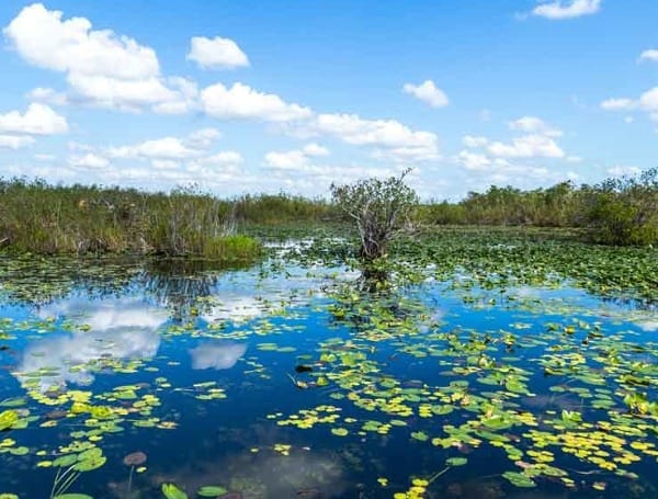 FWC Conservation Florida Governor