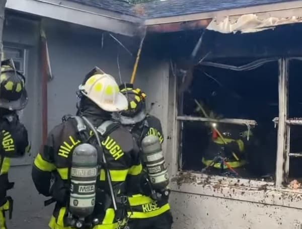 Hillsborough Fire Dog Rescued