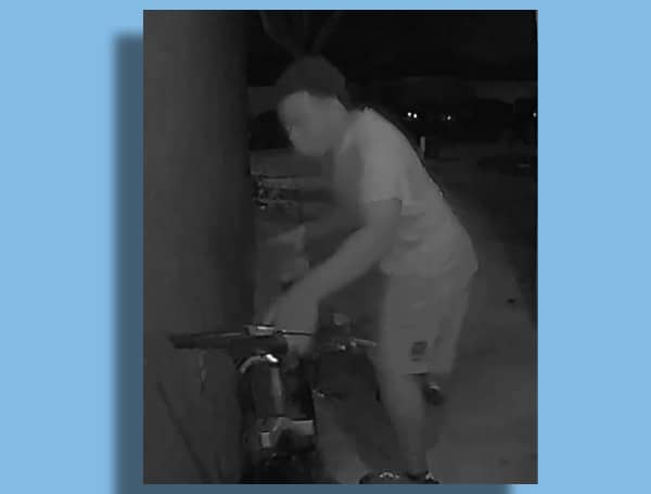 Haines City Bicycle Thief