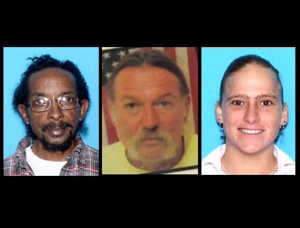 Florida Cold Case Murders, No Suspects