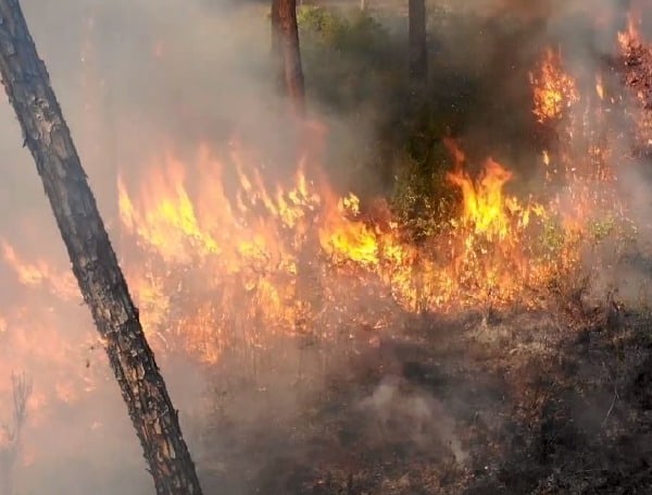 District Aims to Reduce Risk of Wildfires by Scheduling Prescribed Fires for Hillsborough County