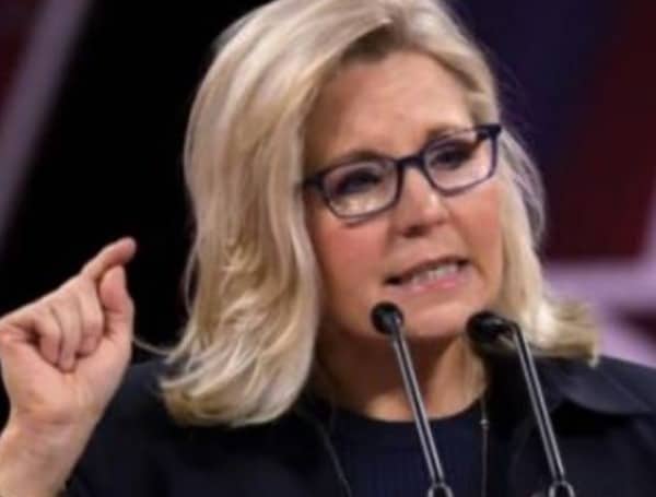 With an approval rating at 19% in Wyoming, people are wise to Liz Cheney. She is a threat to Free and Fair elections, which are the cornerstone of our Country, because she caved so easily on the Crime of