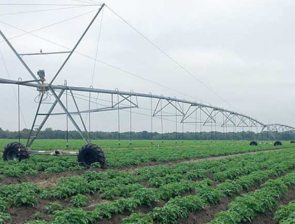 Florida Farming