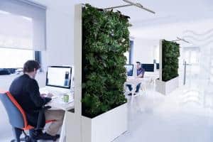Mobile Green Wall in Modern Office