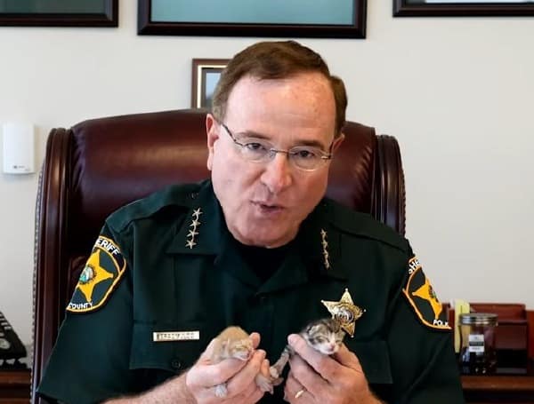 because it’s safer than the blue states they’re leaving Polk County Sheriff Grady Judd