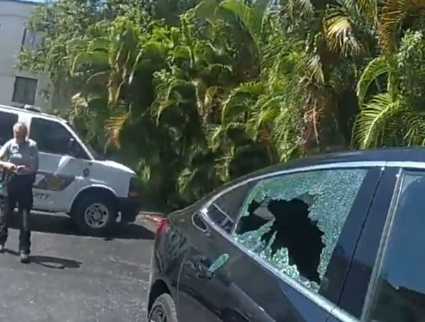 Sarasota Police Dog Locked In Hot Car