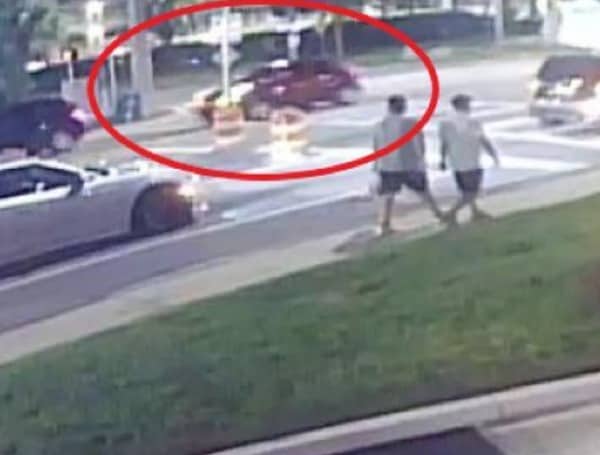 St. Pete Hit and Run