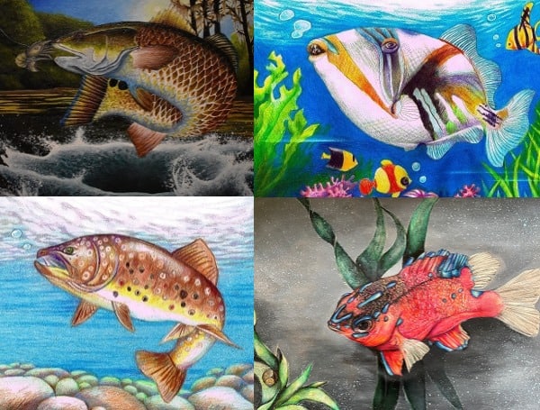 Young Artists Claim Top Honors In 2021 Florida Fish Art Contest