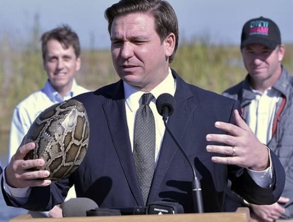 Today, Governor Ron DeSantis announced that registration for the 2023 Florida Python Challenge® is now open. 