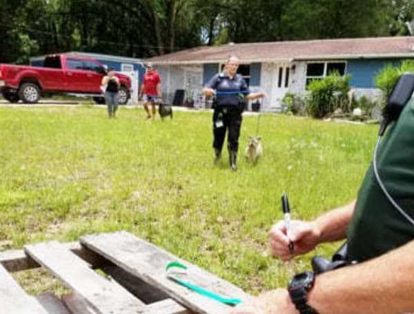 54 Dogs Seized Hernando County Brooksville 1