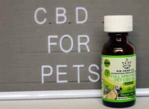 755104 cbd for cats cbd for dogs 900m 300x219 1