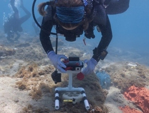 Monitoring Of Florida Coral Swap
